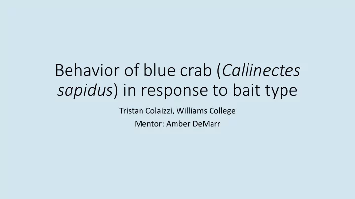 behavior of blue crab callinectes sapidus in response to