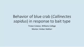 Behavior of blue crab ( Callinectes sapidus ) in response to bait type  Tristan Colaizzi, Williams