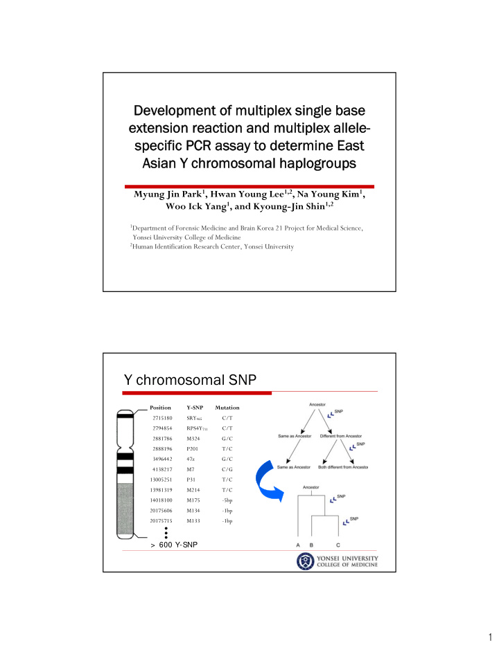 y chromosomal snp