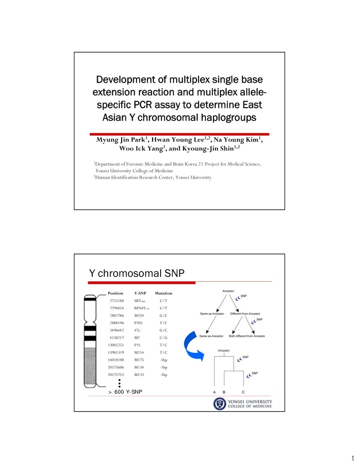 y chromosomal snp