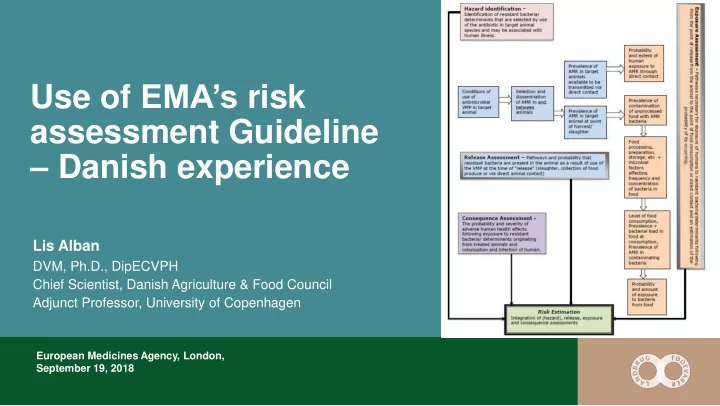 assessment guideline