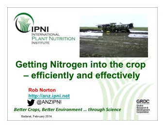 Getting Nitrogen into the crop   efficiently and effectively  Rob Norton  http://anz.ipni.net