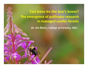 Can trees be the bees knees? The emergence of pollinator research in managed conifer forests Dr.