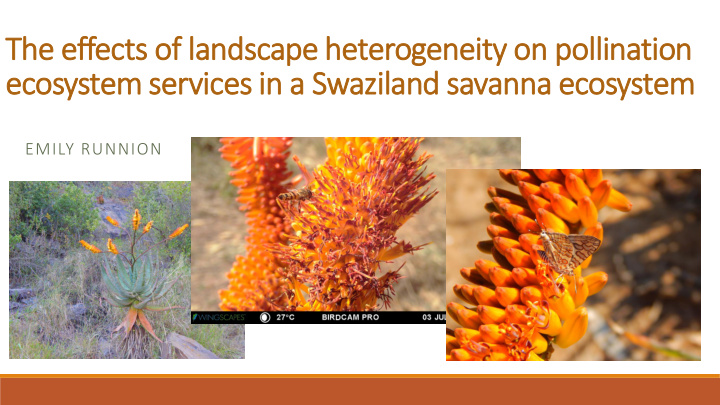 ecosystem services in a swaziland savanna ecosystem