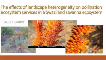 ecosystem services in a Swaziland savanna ecosystem  EMILY RUNNION  Insect Pollination  What is