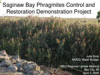Saginaw Bay Phragmites Control and  Restoration Demonstration Project  Julie Sims  MDEQ, Water
