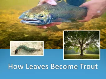 Streams and  Lakes  rivers  Infiltration  Evaporation  into the  ground  Aquifers  Ocean Storage