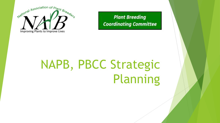 napb pbcc strategic planning history