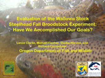 Evaluation of the Wallowa Stock  Steelhead Fall Broodstock Experiment:  Have We Accomplished Our