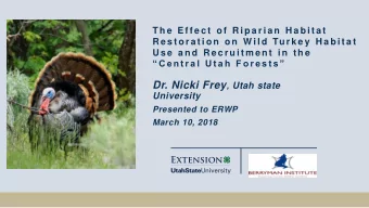 Experience  Turkeys  Largest Gallinaceous species Toms: 17- 21lbs, 40 Females: 8- 11lbs, 30