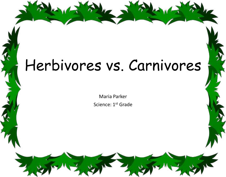 herbivores vs carnivores