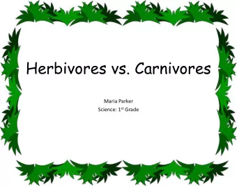 Herbivores vs. Carnivores  Maria Parker Science: 1 st Grade  Herbivores  A herbivore is an animal