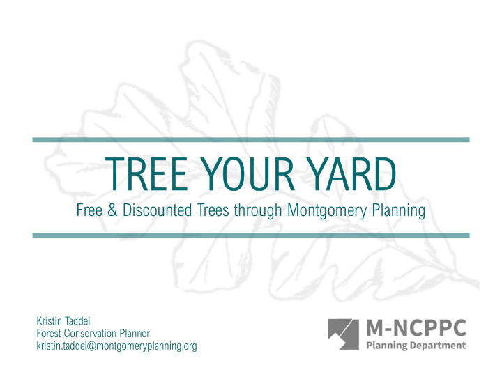 tree your yard