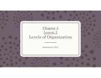 levels of organization