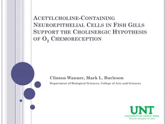 S UPPORT THE C HOLINERGIC H YPOTHESIS OF O 2 C HEMORECEPTION  Clinton Wanner, Mark L. Burleson