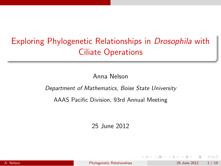 exploring phylogenetic relationships in drosophila with