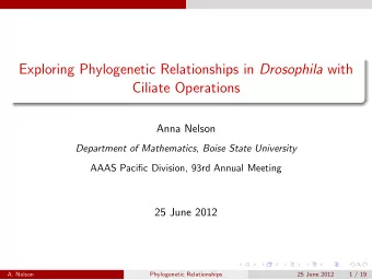 Exploring Phylogenetic Relationships in Drosophila with  Ciliate Operations  Anna Nelson