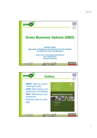 Green Business Options (GBO)  Satoshi Sasaki  Specialist on Enterprise Development and Job Creation