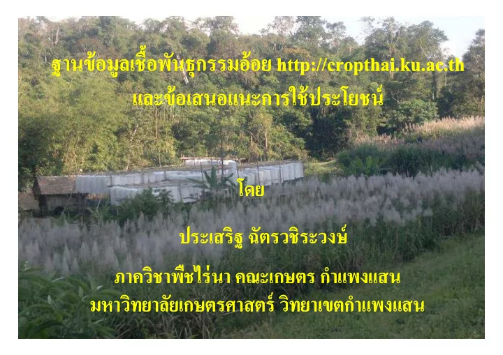 http cropthai ku ac th