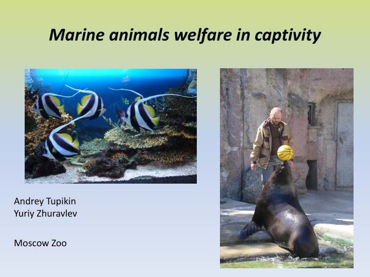 marine animals welfare in captivity