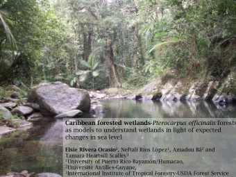 Caribbean forested wetlands- Pterocarpus officinalis forests  as models to understand wetlands in