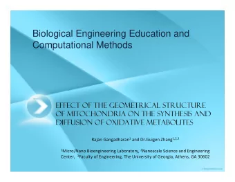 Biological Engineering Education and  Computational Methods  Effect of the Geometrical Structure
