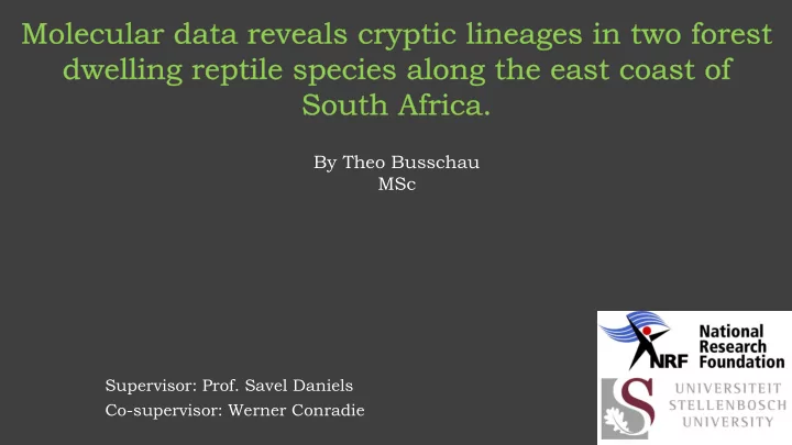 by theo busschau msc supervisor prof savel daniels co