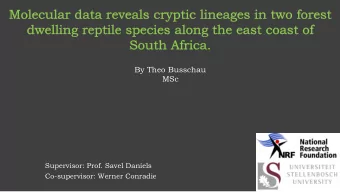 By Theo Busschau  MSc  Supervisor: Prof. Savel Daniels  Co-supervisor: Werner Conradie