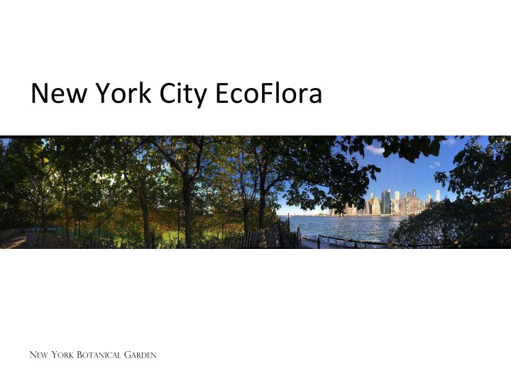 new york city ecoflora