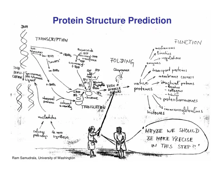 protein structure prediction
