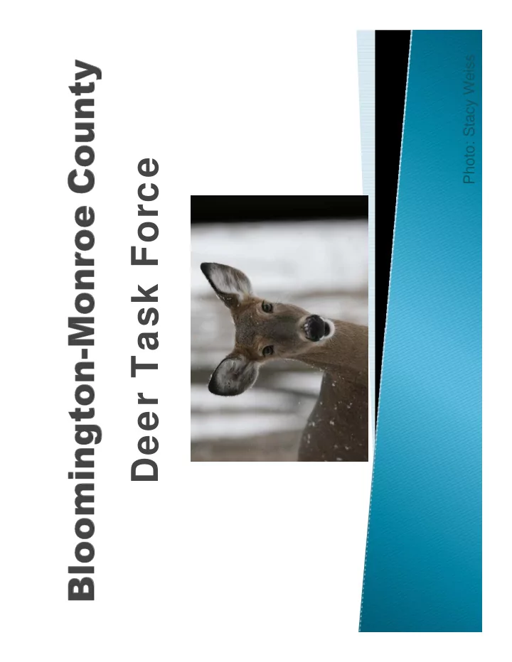 deer task force presentation presentation questions