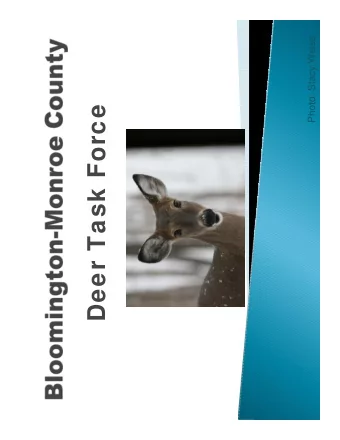 Deer Task Force  PRESENTATION  PRESENTATION  QUESTIONS  QUESTIONS about PRESENTATION