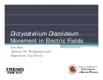 Dictyostelium Discoideum  Dictyostelium Discoideum  Movement in Electric Fields  Eric Kim  Advisor: