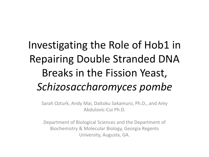 repairing double stranded dna