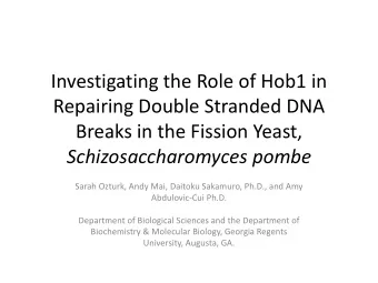 Repairing Double Stranded DNA  Breaks in the Fission Yeast,  Schizosaccharomyces pombe  Sarah