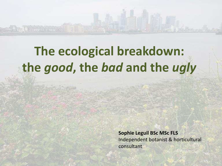 the ecological breakdown