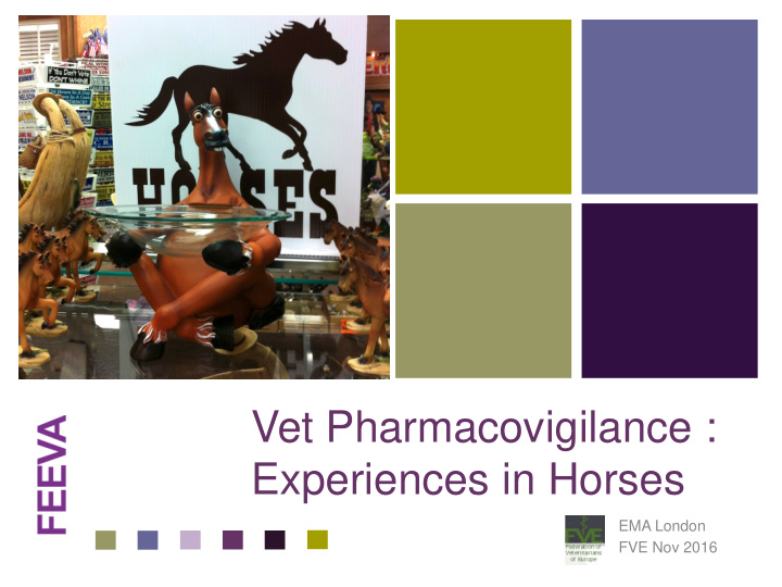 vet pharmacovigilance experiences in horses ema london