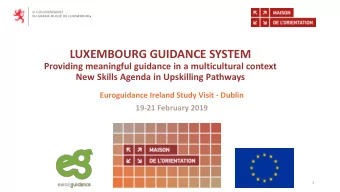 LUXEMBOURG GUIDANCE SYSTEM  Providing meaningful guidance in a multicultural context  New Skills