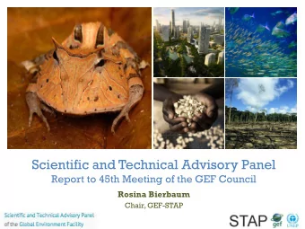 +  Scientific and Technical Advisory Panel  Report to 45th Meeting of the GEF Council  Rosina