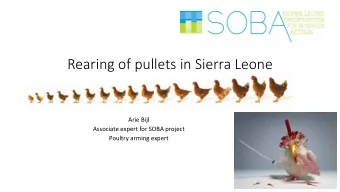 Rearing of pullets in Sierra Leone  Arie Bijl  Associate expert for SOBA project  Poultry arming