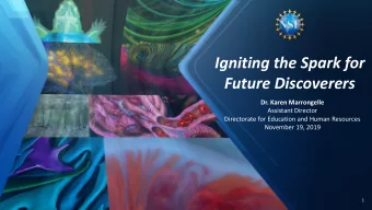 Igniting the Spark for  Future Discoverers  Dr. Karen Marrongelle  Assistant Director  Directorate