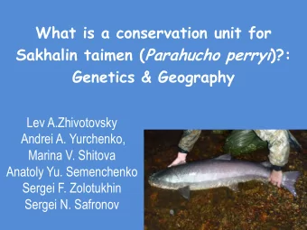 What is a conservation unit for Sakhalin taimen ( Parahucho perryi )?:  Genetics &amp; Geography