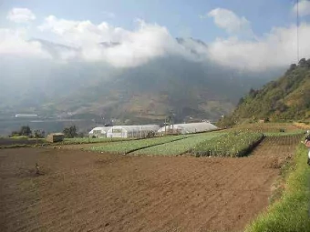 Michael Reid  Leader, Innovation &amp; Special Projects  HORTICULTURE  Meeting Title/Date  1