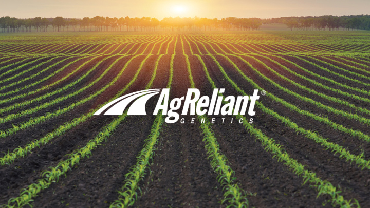 we are agreliant genetics our people leadership team what