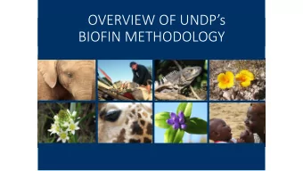 OVERVIEW OF UNDPs  BIOFIN METHODOLOGY  We know that implementing  NBSAPs will require funding