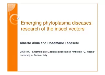 Emerging phytoplasma diseases:  research of the insect vectors  Alberto Alma and Rosemarie Tedeschi
