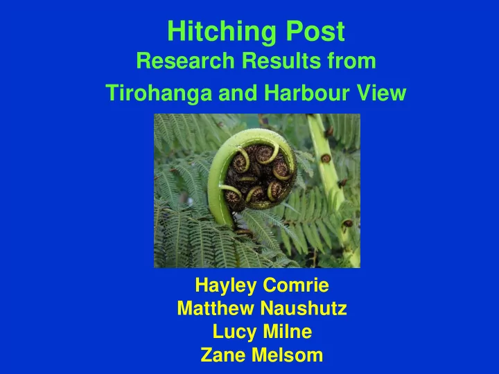 hitching post