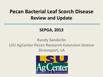 Pecan Bacterial Leaf Scorch Disease  Review and Update  SEPGA, 2013  Randy Sanderlin  LSU AgCenter