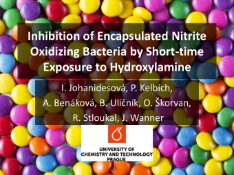 Inhibition of Encapsulated Nitrite  Oxidizing Bacteria by Short-time  Exposure to Hydroxylamine I.