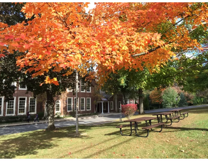 student assessment in scarsdale